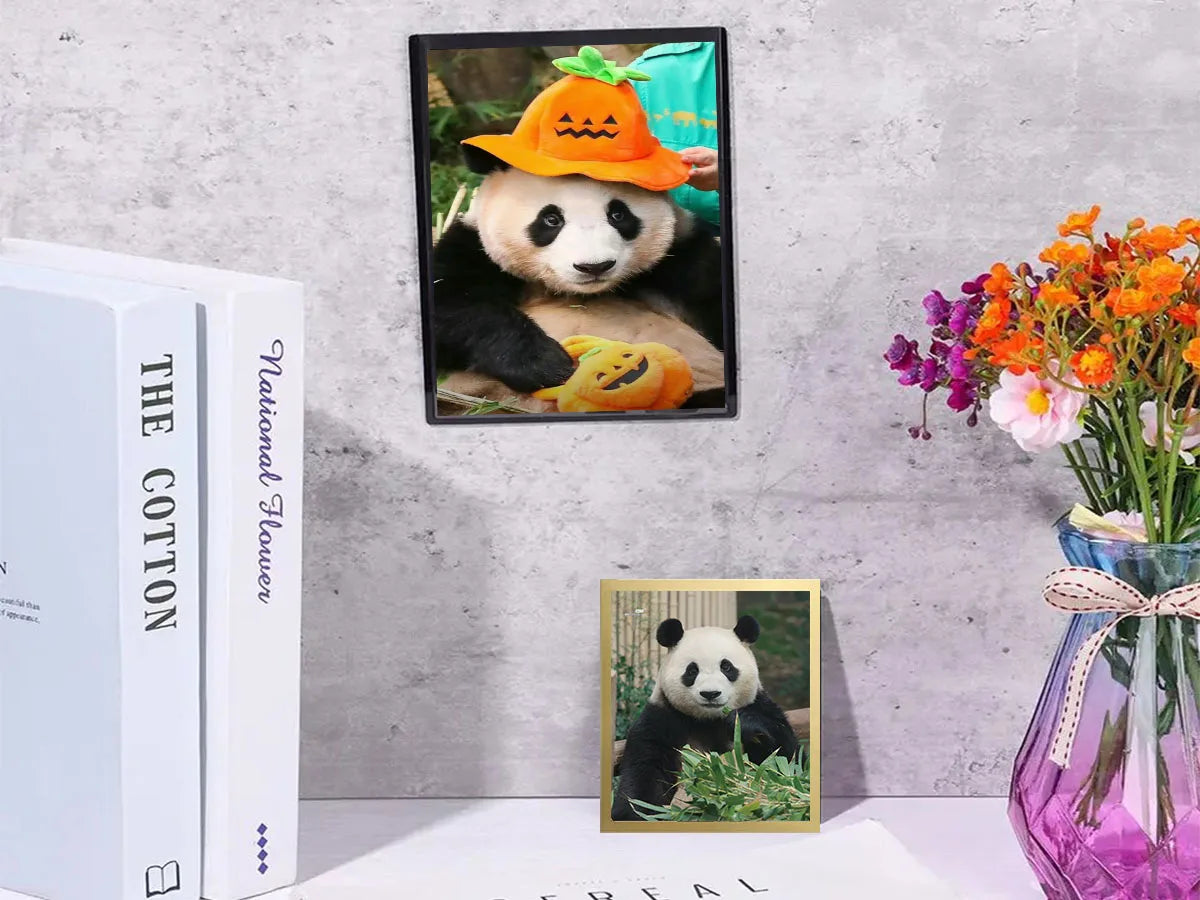 Magnetic Picture Frames Wall Kpop Photocard Holder Display Decor for Wall Window Office Advertise 5Pack A3/A4/A6/Square30x30cm