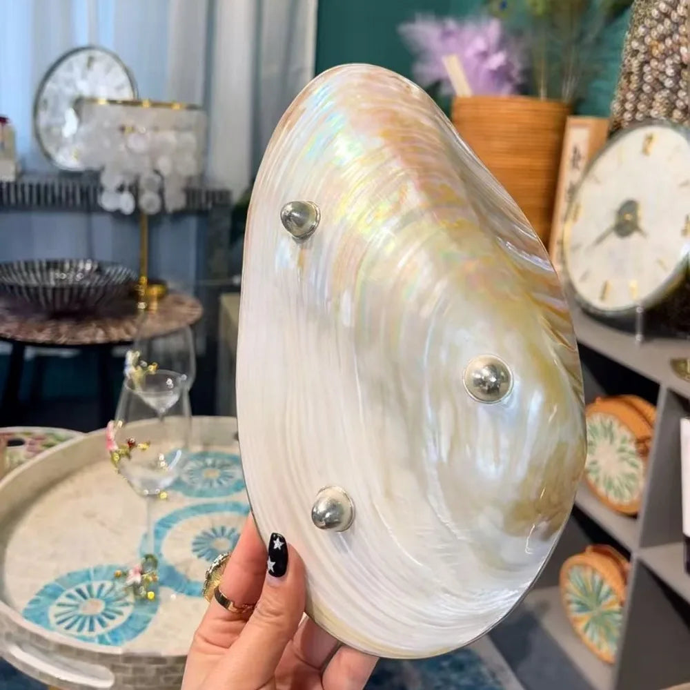 Large Vintage Silver Edge Shell Tray 24cm, Jewelry Display Bowl, Luxury Beach Home Decor, Nautical Photo Prop