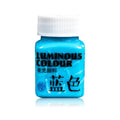 E5BA Glow in the Dark Acrylic Paint Fluorescent Paint for Rock Neon Craft Paint