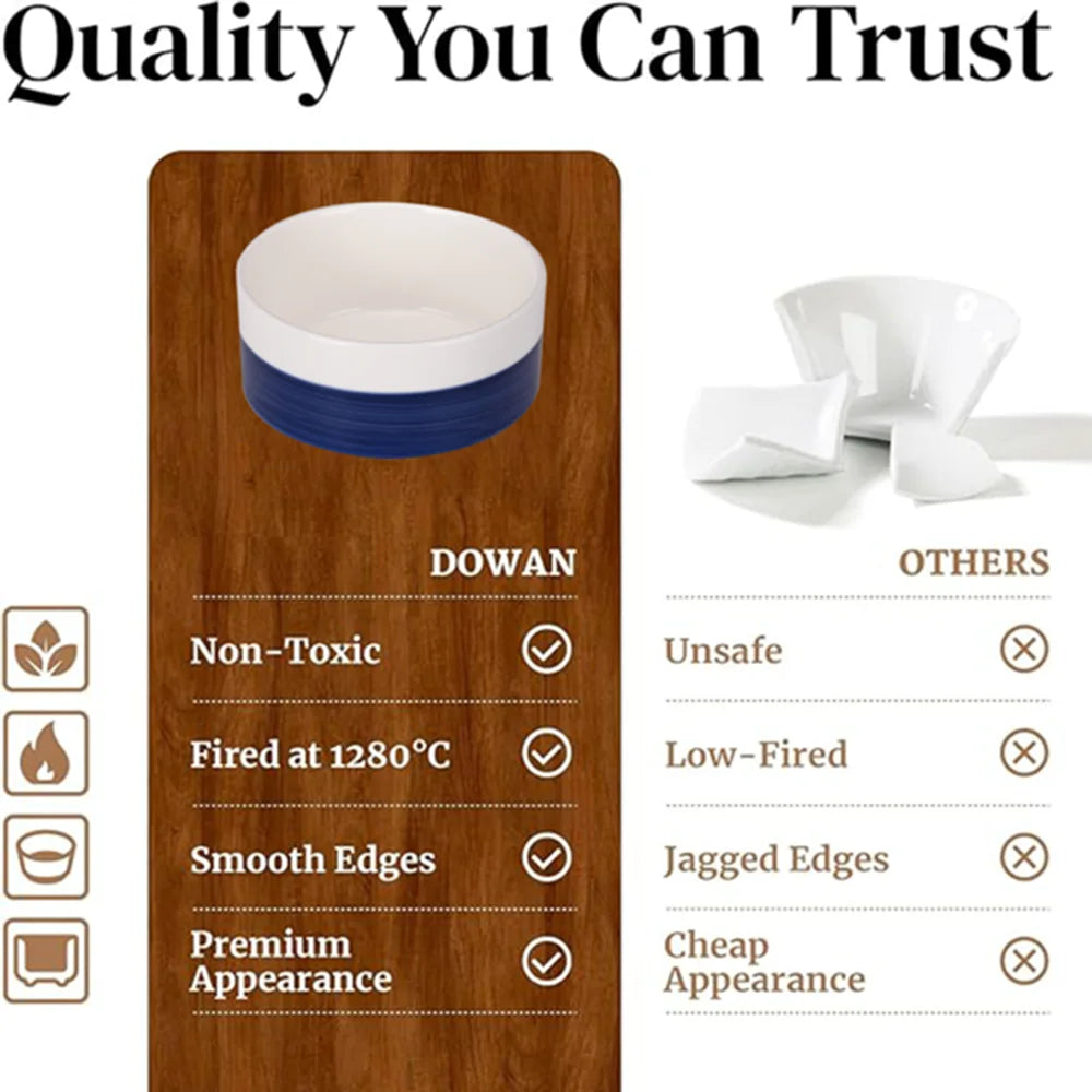 4PCS Ceramic Bowls Cereal Bowl,Soup Bowls for Kitchen Ramen Bowl Microwave Safe for Oatmeal Fruit Salad and Rice Bowl