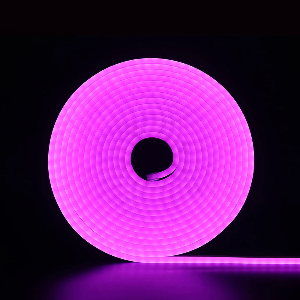 DC 12V LED Neon Strip Rope Lights Neon IP67 Waterproof  6X12mm Flexible Light 2835 120LED/m DIY Diode Tape Blue/Green/Red/Yellow