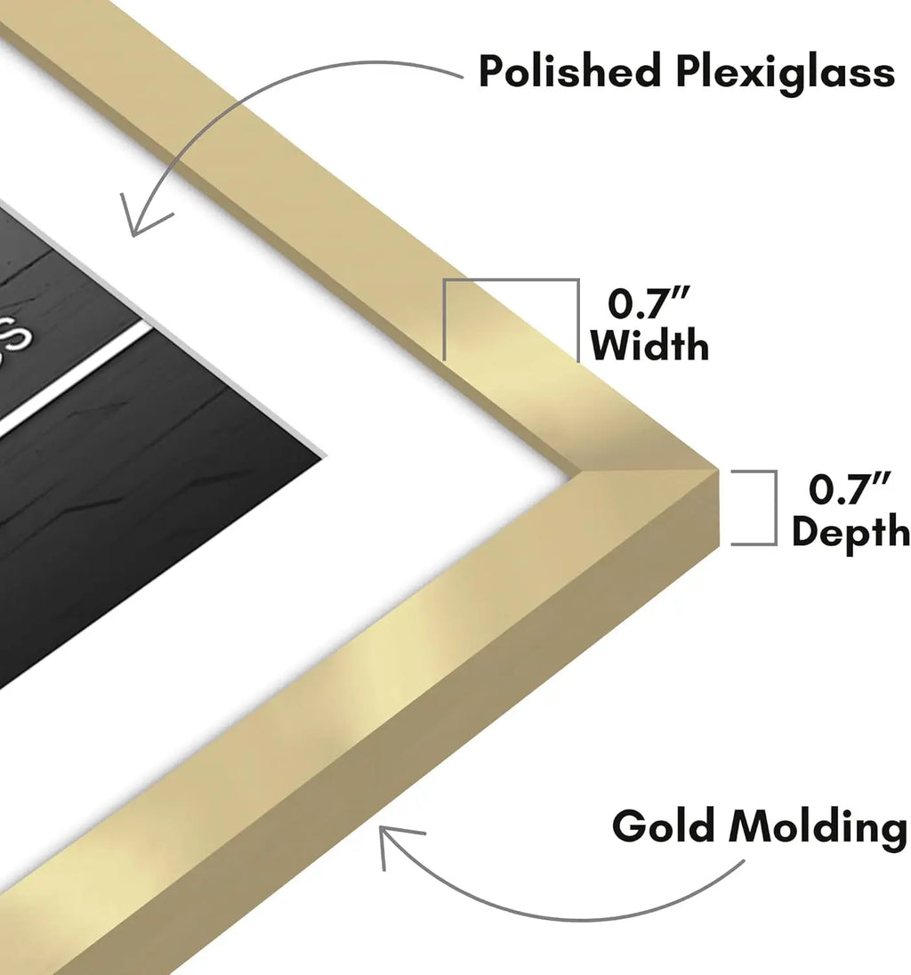 28x40 Poster Frame with Polased Plexiglass - Thin Border Gold Frame for Wall - Display 24x36 or 28x40 Photos