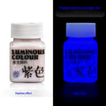 58ML Fluorescent Acrylic Pigment Luminous Pigment Glow in Dark Hand Painted DIY Festival Party Wall Light Absorbing Pigment