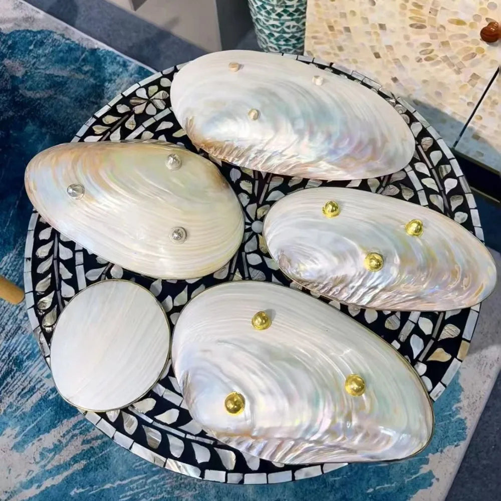 Large Vintage Silver Edge Shell Tray 24cm, Jewelry Display Bowl, Luxury Beach Home Decor, Nautical Photo Prop